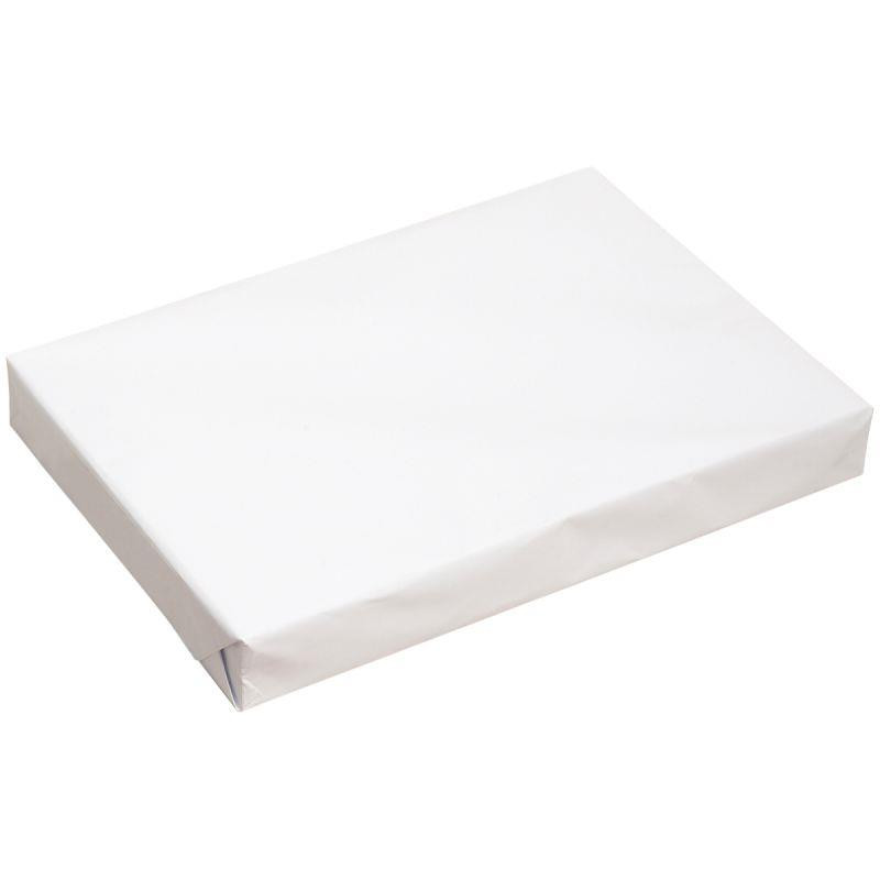 RAMETTE DE 500 FEUILLES FORMAT A3 80G BLANC ÉCONOMIQUE DONT ECOFOLIO 0.26CTS RAMETTE DE 500 FEUILLES FORMAT A3 80G BLANC ÉCONOMIQUE DONT ECOFOLIO 0.26CTS