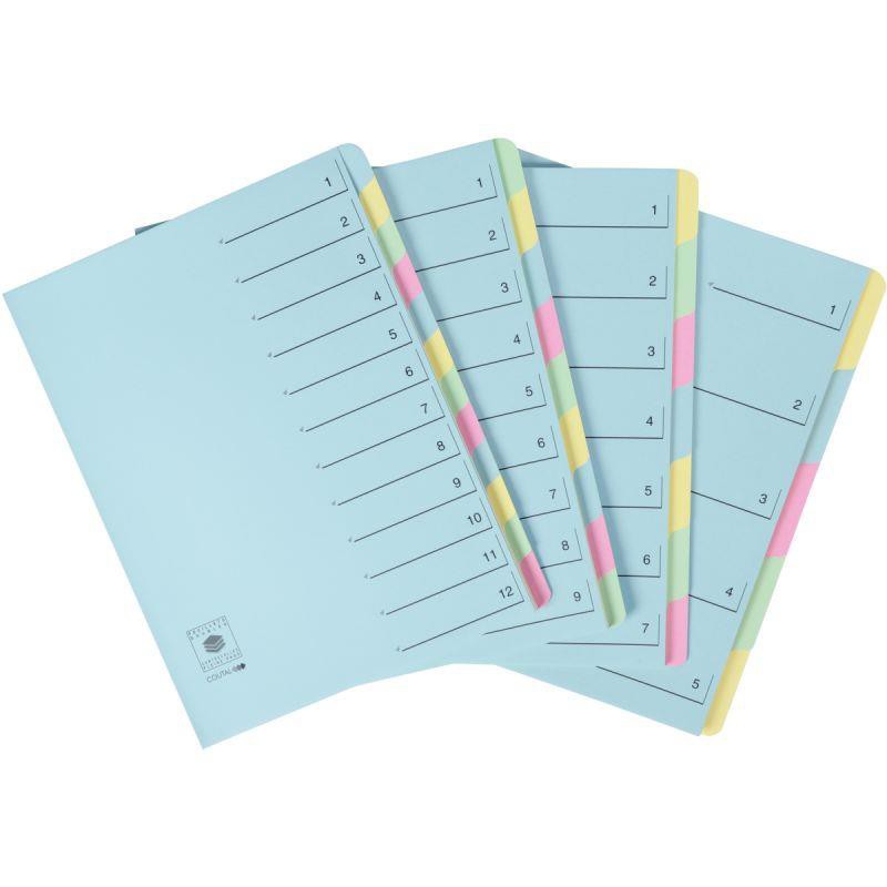 TRIEUR EN CARTE DOSSIER RIGIDE 7 COMPARTIMENTS BLEU TRIEUR EN CARTE DOSSIER RIGIDE 7 COMPARTIMENTS BLEU